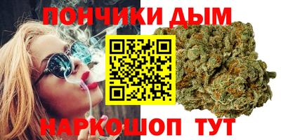спайс Гагарин