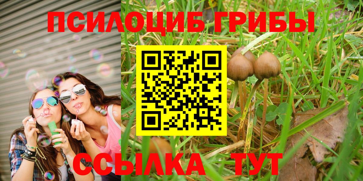 Галлюциногенные грибы ЛСД  Вход с VPN  Галлюциногенные грибы Psilocybe  Вязники 