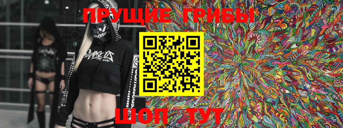 Псилоцибиновые грибы Psilocybe Вязники
