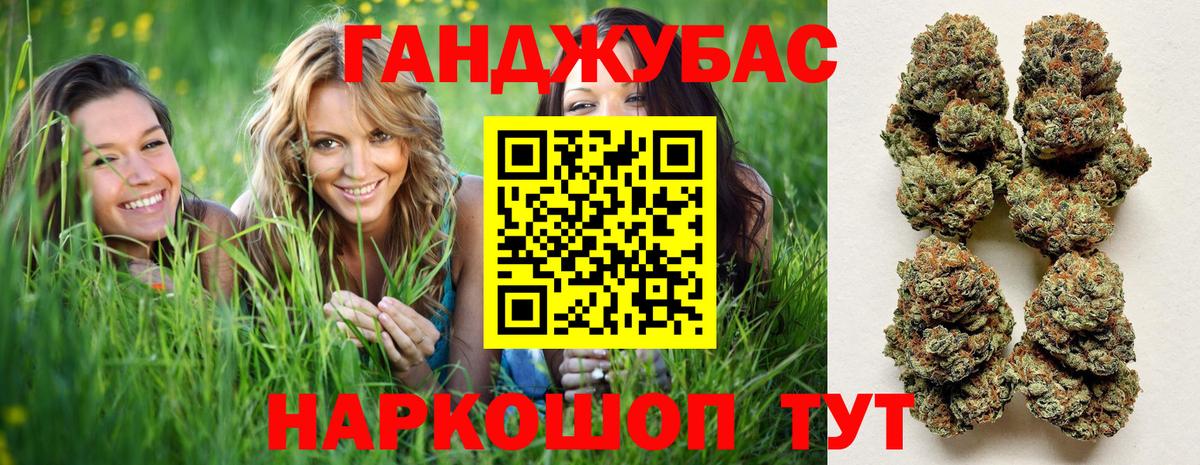 Канабис планчик Вязники
